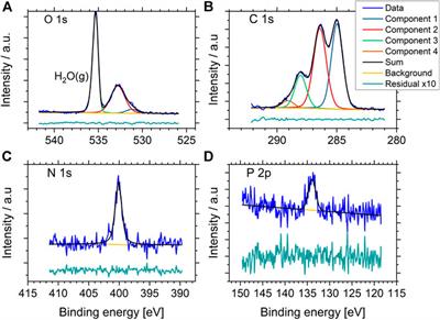 Comparative Study of NAP-XPS and Cryo-XPS for the Investigation of Surface Chemistry of the Bacterial Cell-Envelope